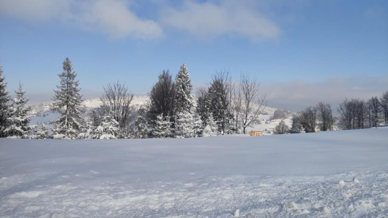 Chata Pietraszyna Koniaków Buitenkant foto