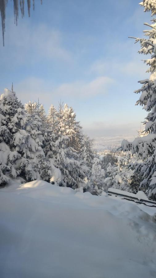 Chata Pietraszyna Koniaków Buitenkant foto